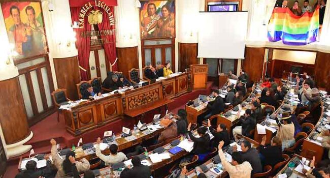 Diputados de Bolivia debaten reglamento de estado de excepción