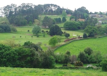 La Confederación Hidrográfica del Cantábrico sanciona al Real Club de Golf de Castiello por aprovechamiento del arroyo Meredal en Vega en Gijón