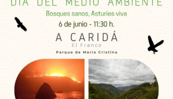 Las organizaciones ambientales de Asturies reivindican en el día del Medio Ambiente una política forestal que priorice la conservación y la apuesta por las especies autóctonas