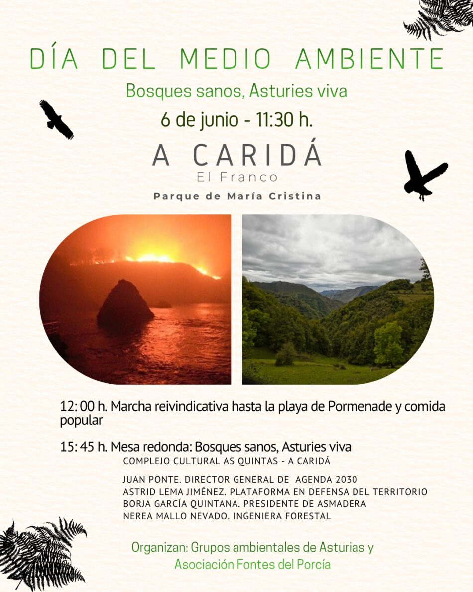 Las organizaciones ambientales de Asturies reivindican en el día del Medio Ambiente una política forestal que priorice la conservación y la apuesta por las especies autóctonas