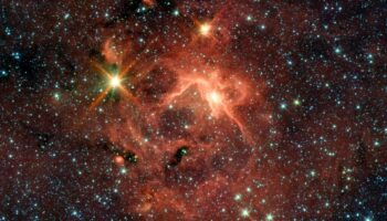 Descubren una población de estrellas en formación que emite rayos gamma