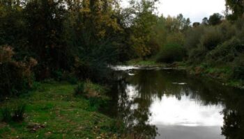 Denuncian vertido ilegal persistente en río Guadarrama a su paso por Arroyomolinos (Madrid)