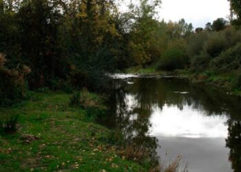 Denuncian vertido ilegal persistente en río Guadarrama a su paso por Arroyomolinos (Madrid)