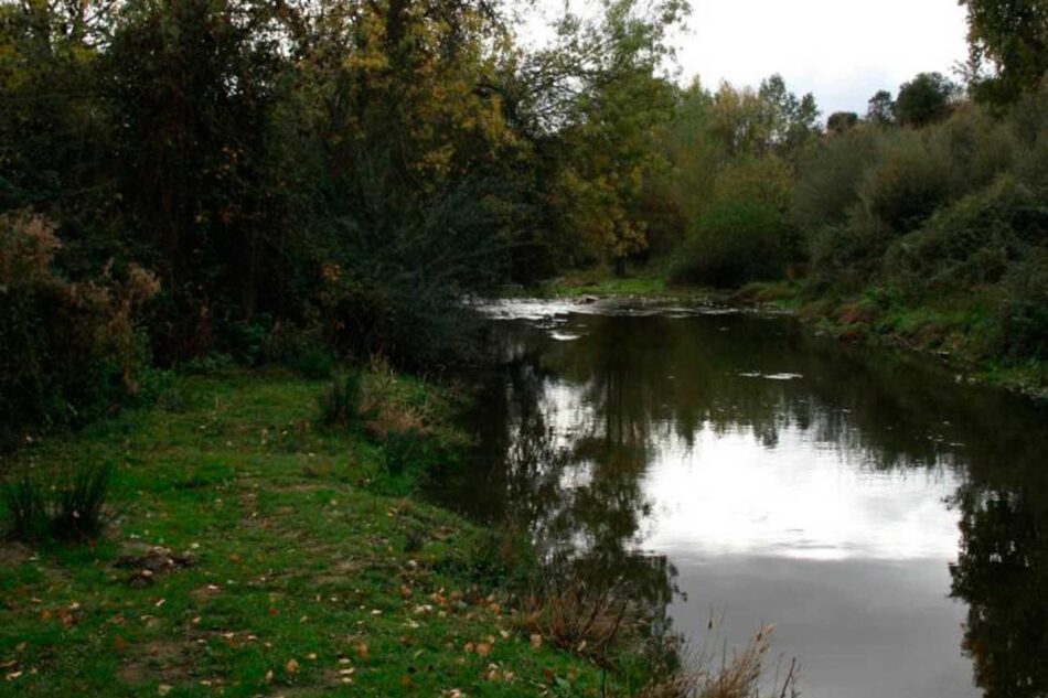 Denuncian vertido ilegal persistente en río Guadarrama a su paso por Arroyomolinos (Madrid)
