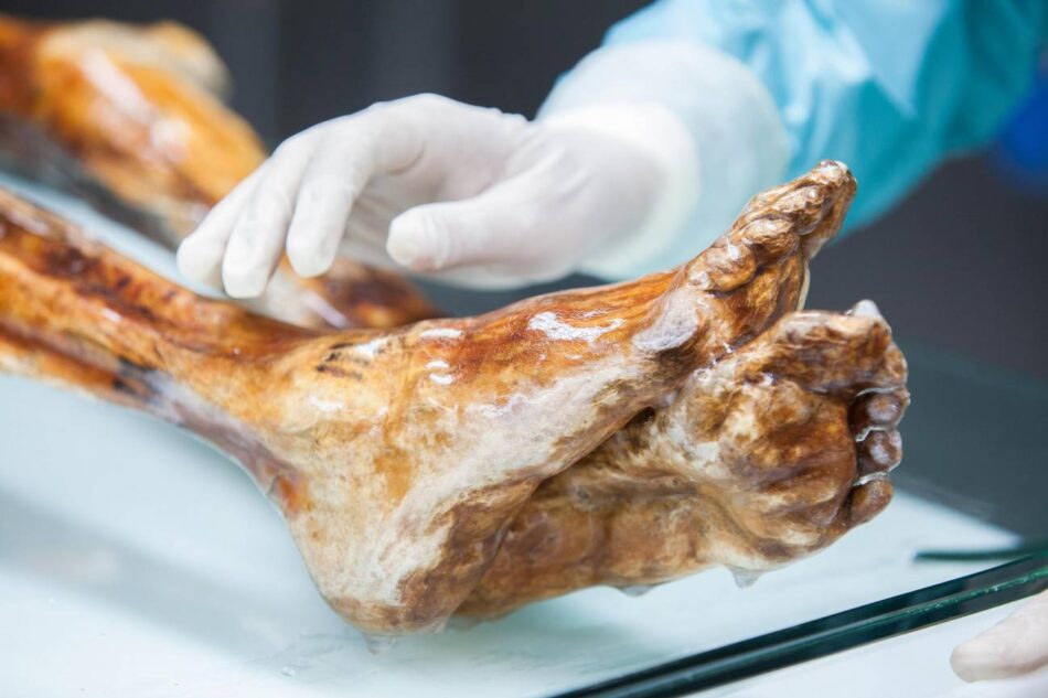 El cuerpo de Ötzi, el Hombre de Hielo, sigue teniendo actividad microbiana 5 300 años después