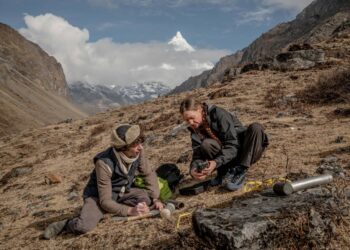 El mapa mundial de la red subterránea de hongos revela que mide mil millones de veces la distancia entre Tierra y Sol