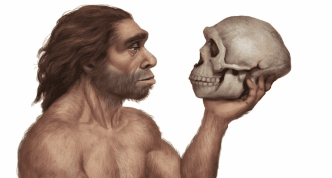 El tamaño corporal de los homínidos no evolucionó por igual en todas las especies