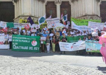 Podemos celebra el Día de Castilla-La Mancha pidiendo democracia y soberanía
