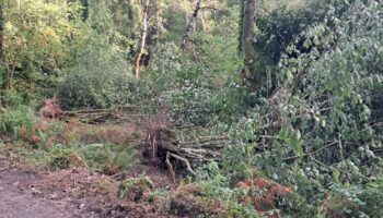 Coordinadora Ecoloxista d’Asturies denuncia el impacto de las obras de la nueva captación de agua en la Fuente Santa de Obaya en Gobiendes, Colunga