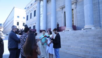 El Partido Verde lleva al Constitucional la ley ambiental andaluza que convierte el silencio de la Administración en permiso para modificar actividades contaminantes