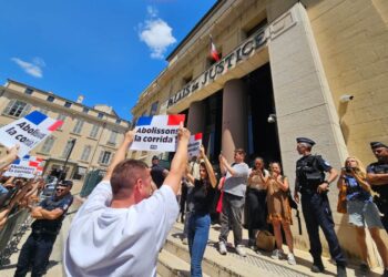 Tribunal francés dictamina en fallo histórico que la tauromaquia no es un deporte