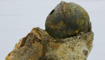 La Universidad de Alicante reinterpreta el hallazgo arqueológico de 43 cascos en Benicarló