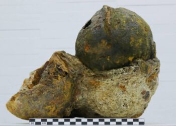 La Universidad de Alicante reinterpreta el hallazgo arqueológico de 43 cascos en Benicarló