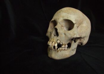 La evidencia más antigua de peste revela brotes letales entre cazadores-recolectores hace 5.500 años