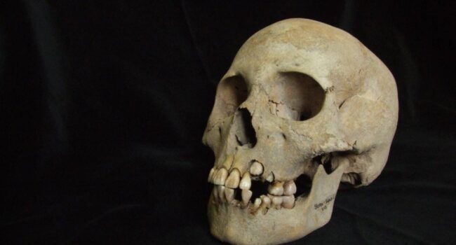 La evidencia más antigua de peste revela brotes letales entre cazadores-recolectores hace 5.500 años