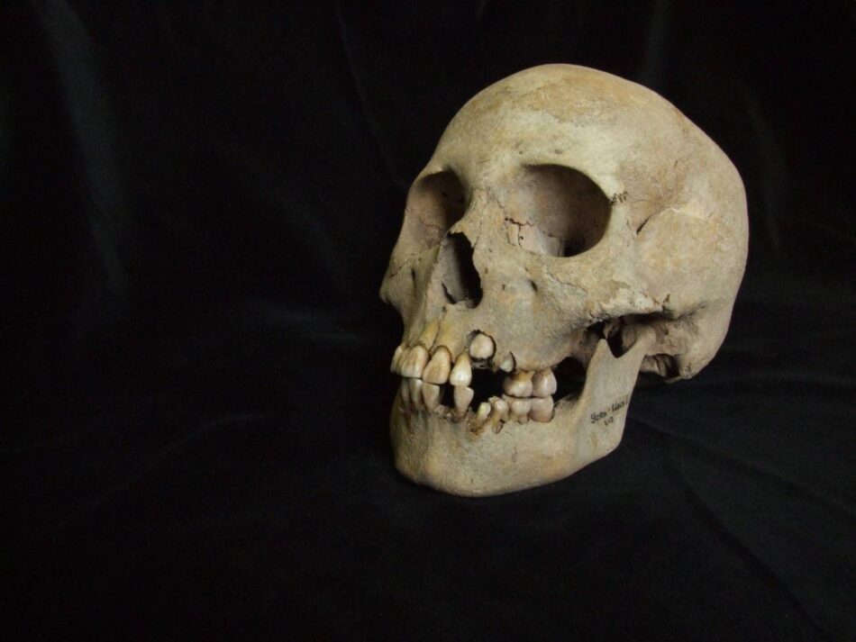 La evidencia más antigua de peste revela brotes letales entre cazadores-recolectores hace 5.500 años