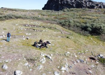 Los vertederos congelados de Groenlandia revelan la vida cotidiana de sus antiguos pobladores