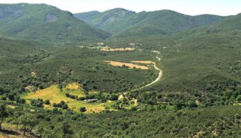 Ecologistas en Acción de Ciudad Real y Toledo presentan alegaciones al proyecto de construcción de un aeródromo de lujo con fines cinegéticos en Retuerta de Bullaque