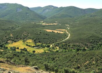 Ecologistas en Acción de Ciudad Real y Toledo presentan alegaciones al proyecto de construcción de un aeródromo de lujo con fines cinegéticos en Retuerta de Bullaque
