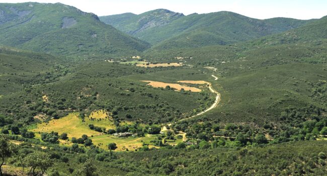 Ecologistas en Acción de Ciudad Real y Toledo presentan alegaciones al proyecto de construcción de un aeródromo de lujo con fines cinegéticos en Retuerta de Bullaque