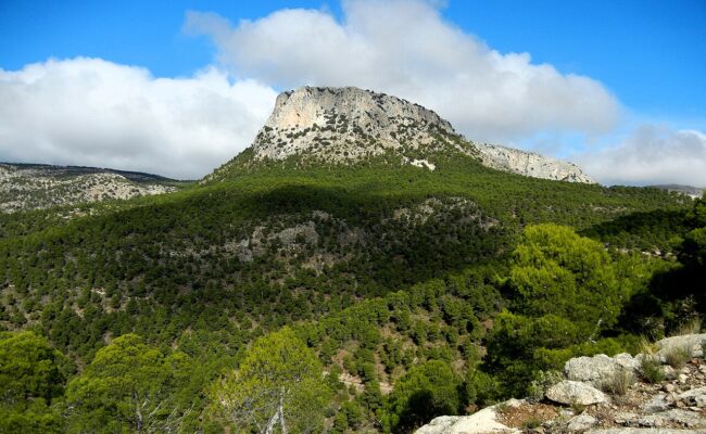 La Ley que recorta el PR de Sierra Espuña recurrida ante el Tribunal Constitucional