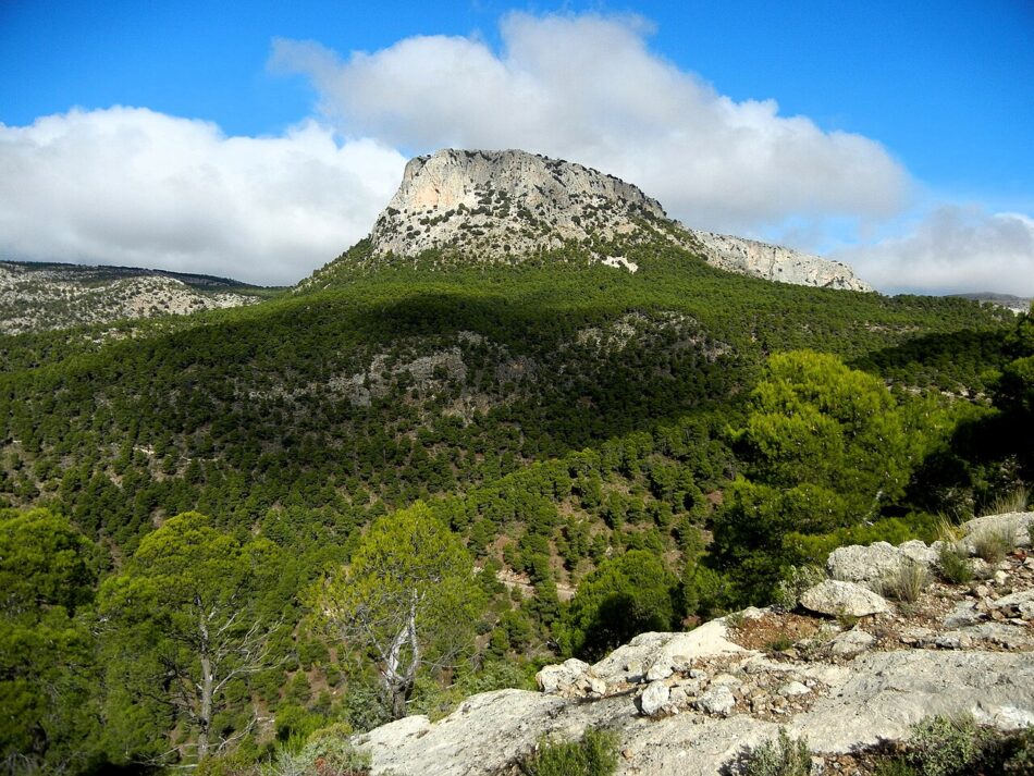 La Ley que recorta el PR de Sierra Espuña recurrida ante el Tribunal Constitucional
