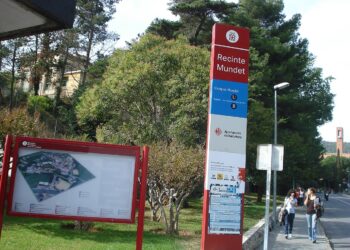 Els Comuns aconsegueixen que les famílies monoparentals comptin amb les mateixes rebaixes que les famílies nombroses en les quotes universitàries