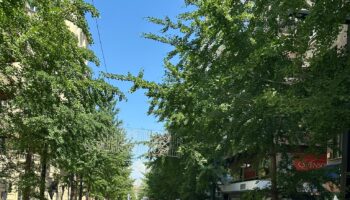 El Servicio de Atención Domiciliaria (SAD) vuelve a las calles andaluzas