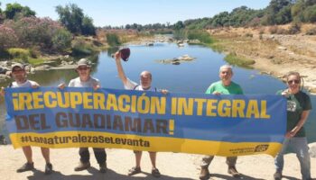 Ecologistas en Acción exige la recuperación integral y el fin de los vertidos mineros al río Guadiamar, arteria hídrica de Doñana