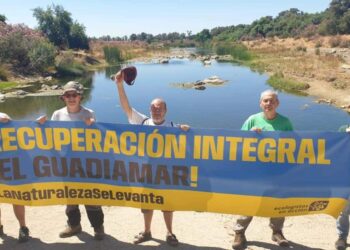 Ecologistas en Acción exige la recuperación integral y el fin de los vertidos mineros al río Guadiamar, arteria hídrica de Doñana