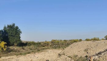 Ecologistas en Acción del Suroeste alerta de una grave crisis ambiental en el norte de Alcorcón (Madrid)