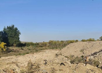 Ecologistas en Acción del Suroeste alerta de una grave crisis ambiental en el norte de Alcorcón (Madrid)