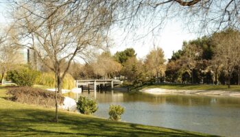La Asociación Delicias para Todos recurre ante el TSJM el decreto sobre eventos en el parque Tierno Galván