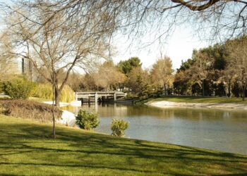 La Asociación Delicias para Todos recurre ante el TSJM el decreto sobre eventos en el parque Tierno Galván