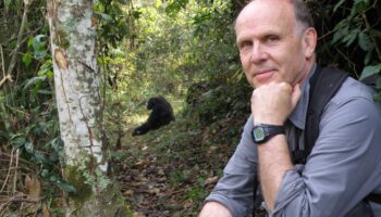 Richard Wrangham, antropólogo de la Universidad de Harvard: “Si sigue existiendo, en 300.000 años la especie humana será mucho menos agresiva”