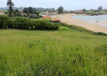 La Coordinadora Ecoloxista d’Asturies denuncia «otro pelotazo urbanístico en la playa de la Isla en Colunga»