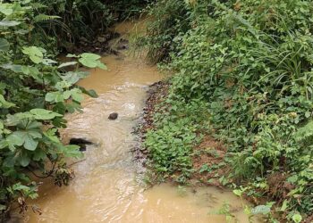 Continúan los vertidos al río Aboño a su paso por Llanera (Asturias)