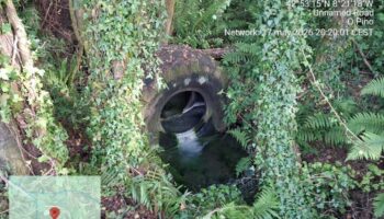 Denuncian o abandono de rodas xigantes en ríos de Touro e O Pino