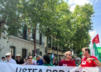 USTEA denuncia el desmantelamiento de la oferta pública de Formación Profesional en Andalucía y acusa a la Consejería de favorecer la privatización