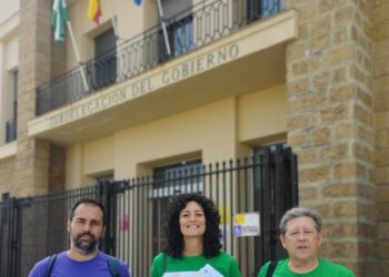 USTEA entrega en las Subdelegaciones del Gobierno de Andalucía miles de firmas para exigir por un acceso justo para el personal interino docente