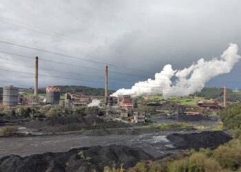 Ecoloxistes n’Aición presenta alegaciones a la revisión ambiental de ArcelorMittal para exigir mejoras ambientales reales y verificables