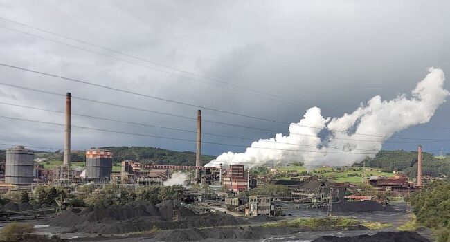Ecoloxistes n’Aición presenta alegaciones a la revisión ambiental de ArcelorMittal para exigir mejoras ambientales reales y verificables