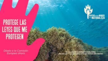 En el Día Mundial de los Océanos sobran eslóganes y falta enfoque ecosistémico