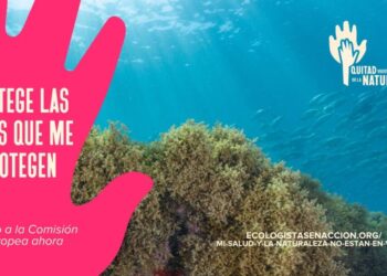 En el Día Mundial de los Océanos sobran eslóganes y falta enfoque ecosistémico