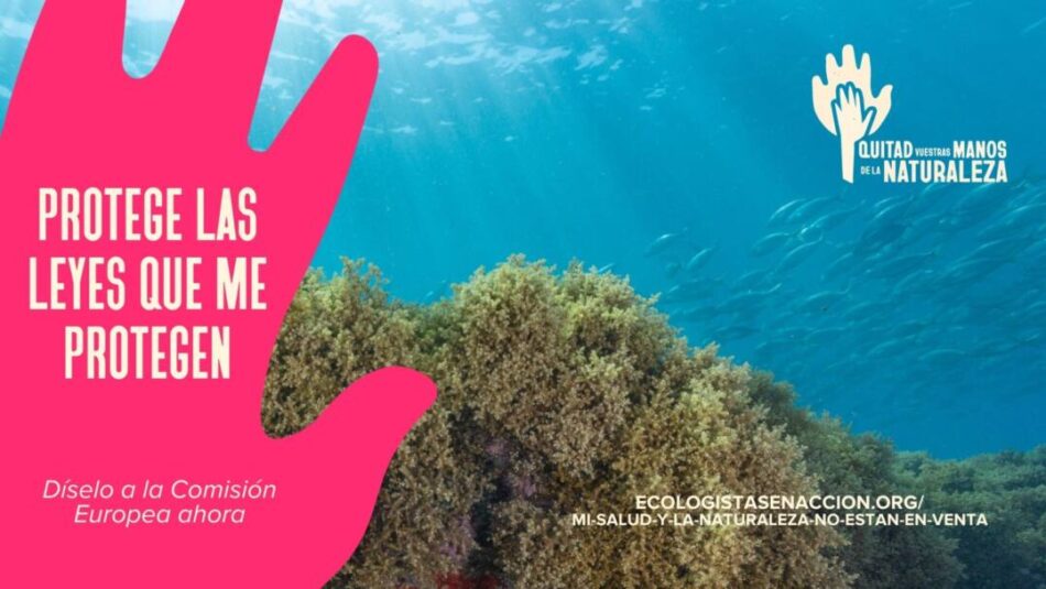 En el Día Mundial de los Océanos sobran eslóganes y falta enfoque ecosistémico
