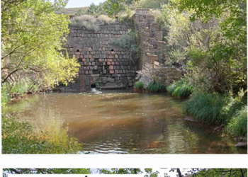 Retirada la principal barrera abandonada del río Riato: Barbos y truchas autóctonas del embalse de Atazar podrán reproducirse en los ríos Riato y La Puebla