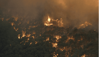 Ecologistas en Acción de Extremadura: «¿Ocio o temeridad en Fuentes de León?»