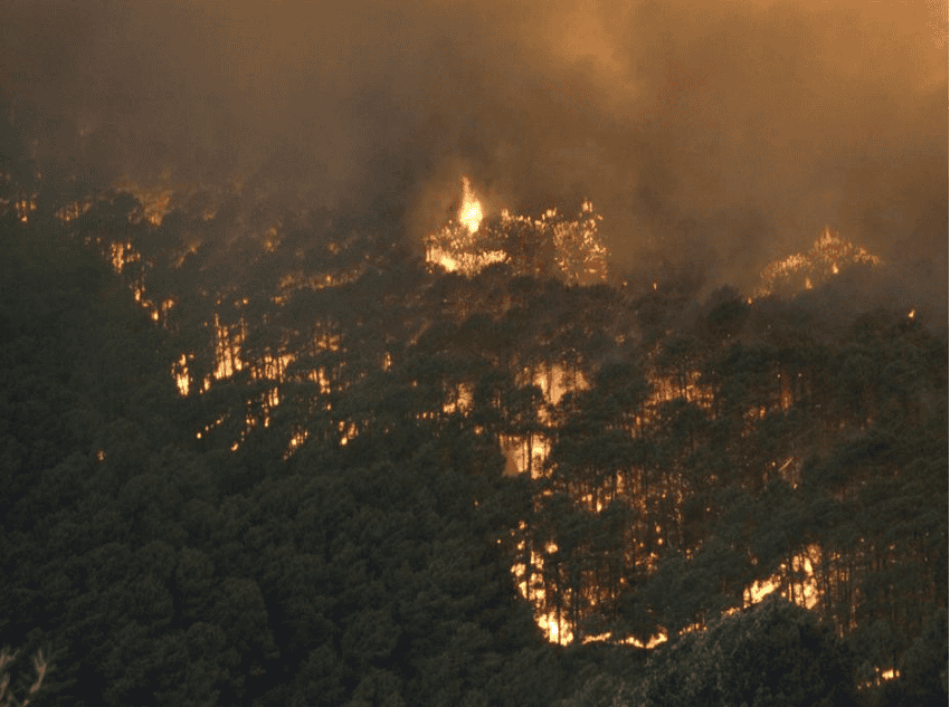Ecologistas en Acción de Extremadura: «¿Ocio o temeridad en Fuentes de León?»