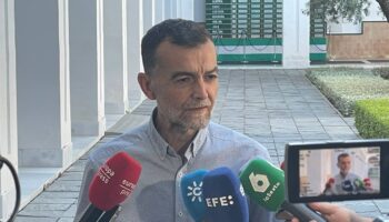 Antonio Maíllo exige celeridad judicial en el ‘caso mascarillas’ de la Diputación de Almería y pide explicaciones al PP