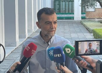 Antonio Maíllo exige celeridad judicial en el ‘caso mascarillas’ de la Diputación de Almería y pide explicaciones al PP